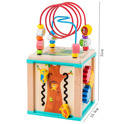 5-in-1 Activity Cube