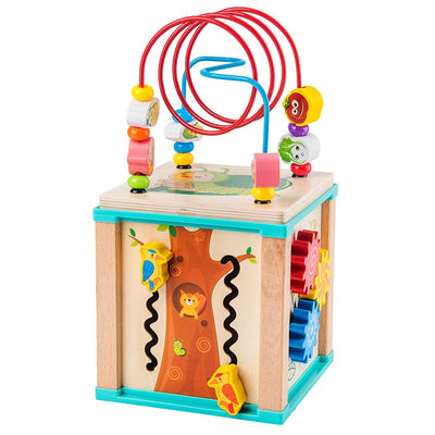 5-in-1 Activity Cube