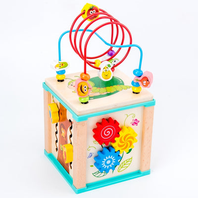 5-in-1 Activity Cube