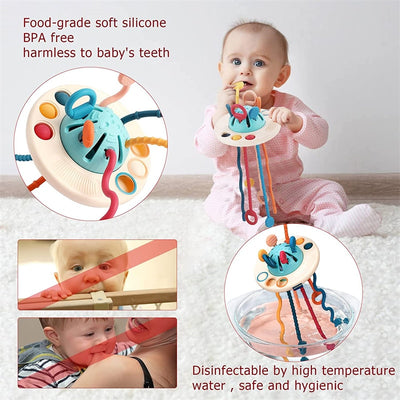 Silicone Sensory Teething Toys